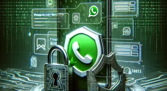 por que whatsapp é banido