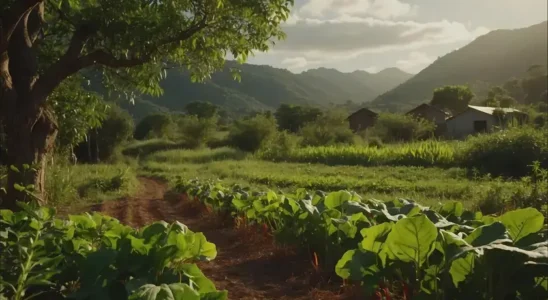 impacto ambiental positivo