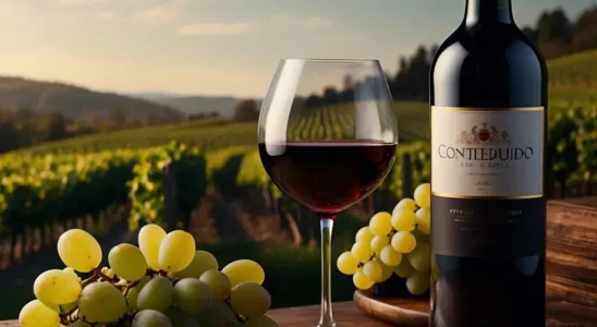 marketing de conteúdo