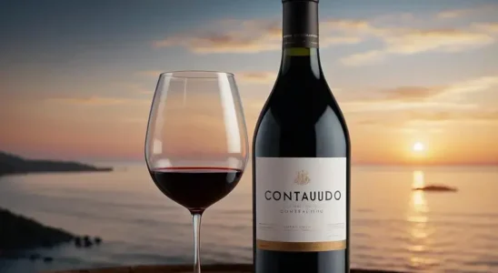 marketing de conteúdo