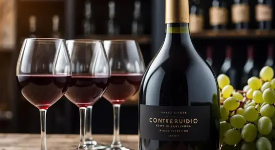 marketing de conteúdo