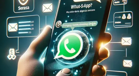 serasa limpa nome whatsapp