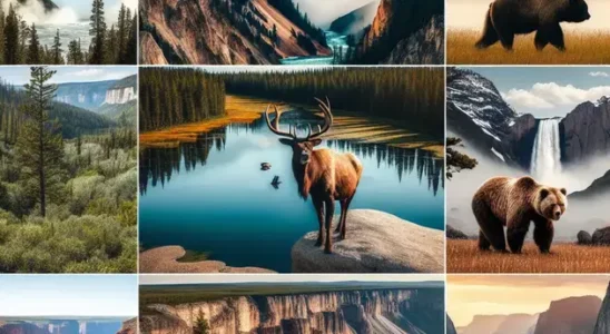 best national parks in the usa